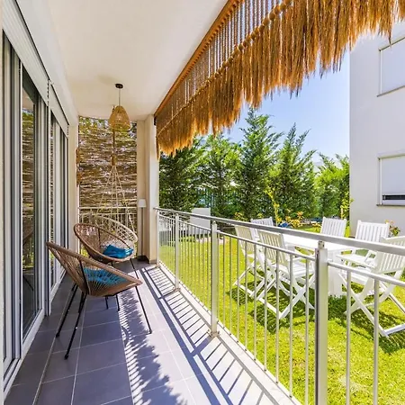 Talea Joyful By Pikhost Daire Lezhë