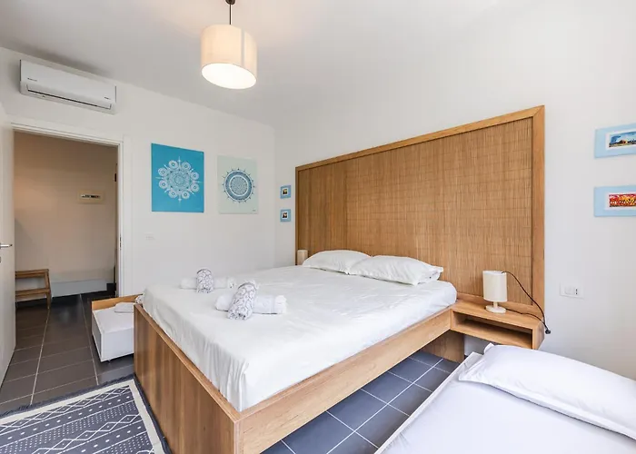 Talea Joyful By Pikhost Lezhë